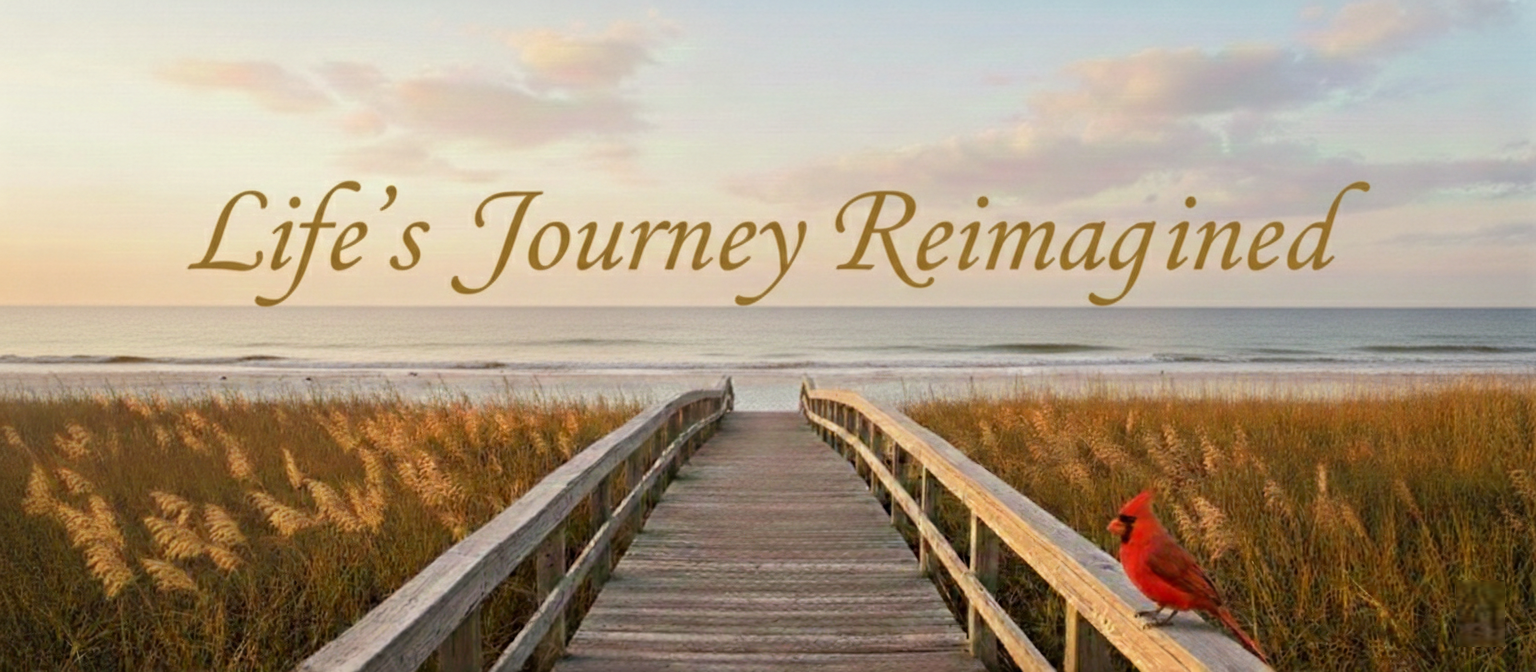Life's Journey Reimagined